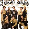 flat750x075f pad750x1000f8f8f8.u2 2 - Stray Kids UK Shop