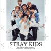 flat750x075f pad750x750f8f8f8 1 - Stray Kids UK Shop