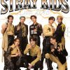 flat750x075f pad750x750f8f8f8 17 - Stray Kids UK Shop