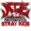 flat750x075f pad750x750f8f8f8 23 - Stray Kids UK Shop
